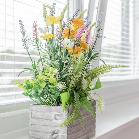 Abacus House בית הארחה 4*